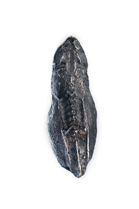 BLACK FROG FRIEND | SREBRNY PIERŚCIEŃ Z ŻABĄ